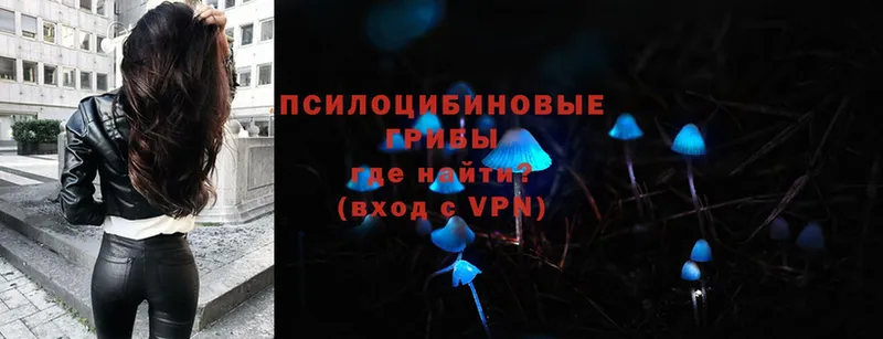 Галлюциногенные грибы MAGIC MUSHROOMS  Артёмовск 